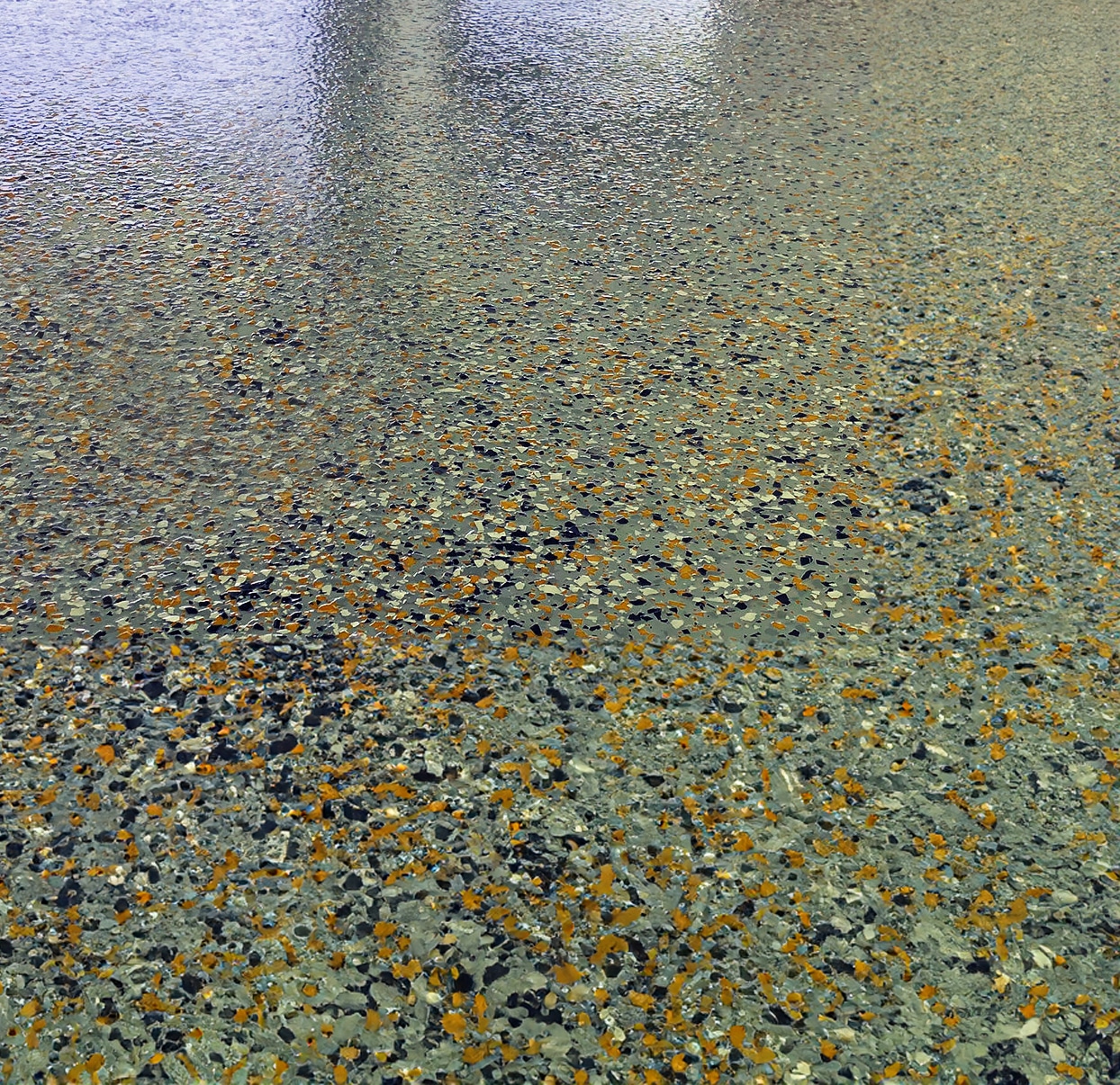 Polyurea Sealer Applied to Floor